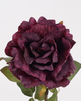 Artificial Flower 14*14*66cm Rose single stem GS-35124004-Z1 2024SEP YeahFlower is one of Chinese leading OEM manufacturers and exporters , supplying the silk flowers, wholesale artificial trees Artificial Flower 14*14*66cm Rose single stem GS-35124004-Z1 2024SEP YeahFlower is one of Chinese leading OEM manufacturers and exporters , supplying the silk flowers, wholesale artificial trees