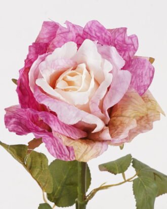 Artificial Flower 14*14*66cm Rose single stem GS-35124004-Z2 2024SEP YeahFlower is one of Chinese leading OEM manufacturers and exporters , supplying the silk flowers, wholesale artificial trees Artificial Flower 14*14*66cm Rose single stem GS-35124004-Z2 2024SEP YeahFlower is one of Chinese leading OEM manufacturers and exporters , supplying the silk flowers, wholesale artificial trees