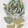 Artificial Flower 12*12*43cm Rose single stem GS-68024003-G4 2024Aug YeahFlower is one of Chinese leading OEM manufacturers and exporters , supplying the silk flowers, wholesale artificial trees