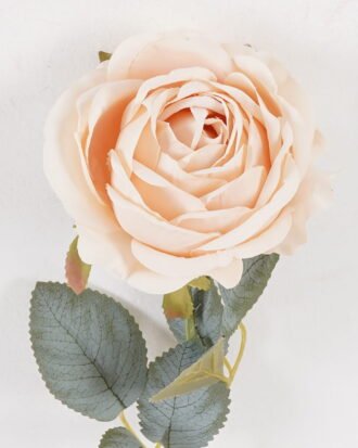 Artificial Flower 12*12*43cm Rose single stem GS-68024003 2024Aug YeahFlower is one of Chinese leading OEM manufacturers and exporters , supplying the silk flowers, wholesale artificial trees Artificial Flower 12*12*43cm Rose single stem GS-68024003 2024Aug YeahFlower is one of Chinese leading OEM manufacturers and exporters , supplying the silk flowers, wholesale artificial trees