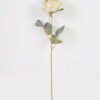 Artificial Flower Rose single stem GS-68024003_4 Artificial Flower 12*12*43cm Rose single stem GS-68024003 2024Aug YeahFlower is one of Chinese leading OEM manufacturers and exporters , supplying the silk flowers, wholesale artificial trees