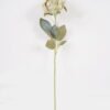 Artificial Flower Rose single stem GS-68024003_5 Artificial Flower 12*12*43cm Rose single stem GS-68024003 2024Aug YeahFlower is one of Chinese leading OEM manufacturers and exporters , supplying the silk flowers, wholesale artificial trees