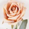 Artificial Flower 9*9*44cm Rose single stem GS-68024006-Y2 Single Flowers 3,000+ sqm showroom with thousands of artificial flowers, plants & trees ready for global sourcing.