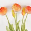 Artificial Flower Tulip bouquet 5 GS-41521015-O1-REV_1 Artificial Flower 18*43CM Tulip bouquet*5 GS-41521015-O1-REV 2024SEP YeahFlower is one of Chinese leading OEM manufacturers and exporters , supplying the silk flowers, wholesale artificial trees