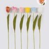 Artificial Flower 4*4*47cm Tulip single stem GS-68823001 2024Aug YeahFlower is one of Chinese leading OEM manufacturers and exporters , supplying the silk flowers, wholesale artificial trees