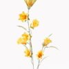 Artificial Flower 15*15*82cm  bellwort Single stem GS-73324038-Y1 Single Flowers YeahFlower is one of Chinese leading OEM manufacturers and exporters , supplying the silk flowers, wholesale artificial trees