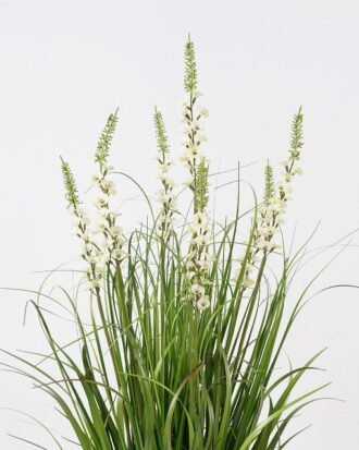 Artificial Grass 60*60*100cm Bellflower grass *7 in PP pot GS-29423004R-W1 2024SEP YeahFlower is one of Chinese leading OEM manufacturers and exporters , supplying the silk flowers, wholesale artificial trees