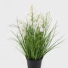 Artificial Grass 25*25*30cm Canterburybells *4 in PP pot GS-61924055 2024SEP YeahFlower is one of Chinese leading OEM manufacturers and exporters , supplying the silk flowers, wholesale artificial trees