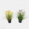 Artificial Grass 28*28*30cm Cephalostigma *5 in PP pot GS-45724012 Grass&PLANT 3,000+ sqm showroom with thousands of artificial flowers, plants & trees ready for global sourcing.