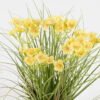 Artificial Grass 28*28*30cm Cephalostigma *5 in PP pot GS-45724012 Grass&PLANT 3,000+ sqm showroom with thousands of artificial flowers, plants & trees ready for global sourcing.