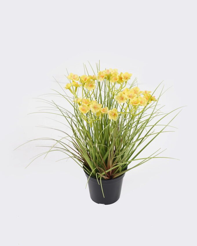 Artificial Grass 28*28*30cm Cephalostigma *5 in PP pot GS-45724012 Grass&PLANT 3,000+ sqm showroom with thousands of artificial flowers, plants & trees ready for global sourcing.