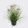 Artificial Grass 28*28*30cm Cephalostigma *5 in PP pot GS-45724012 Grass&PLANT 3,000+ sqm showroom with thousands of artificial flowers, plants & trees ready for global sourcing.