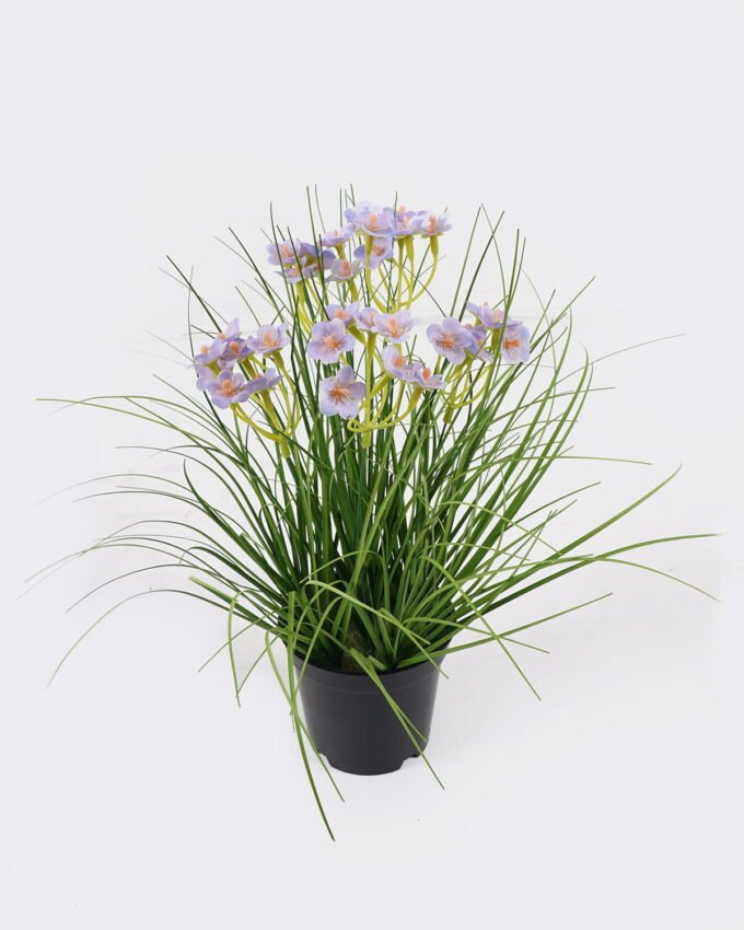 Artificial Grass 28*28*30cm Cephalostigma *5 in PP pot GS-45724012 Grass&PLANT 3,000+ sqm showroom with thousands of artificial flowers, plants & trees ready for global sourcing.