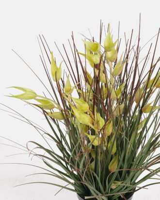 Artificial Grass 25*25*30cm Oat grass *5 in PP pot GS-61924056 2024SEP YeahFlower is one of Chinese leading OEM manufacturers and exporters , supplying the silk flowers, wholesale artificial trees