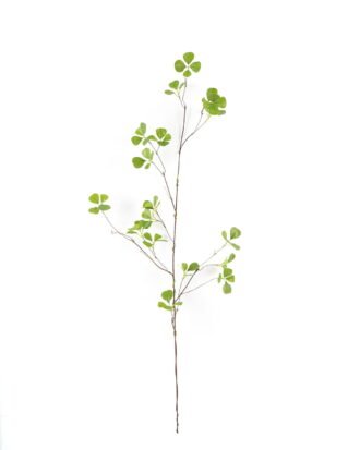 Artificial Plant 49*49*120cm Ficophyllum  single stem GS-26224024 2024SEP YeahFlower is one of Chinese leading OEM manufacturers and exporters , supplying the silk flowers, wholesale artificial trees