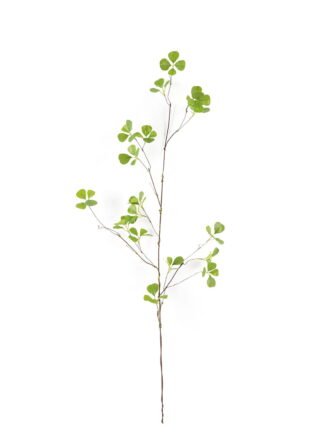 Artificial Plant 38*38*84cm  Ficophyllum  single stem GS-26224025 Leaves&Sprays&Foliages 3,000+ sqm showroom with thousands of artificial flowers, plants & trees ready for global sourcing.