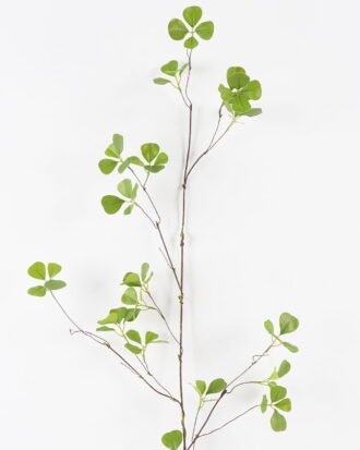 Artificial Plant 49*49*120cm Ficophyllum  single stem GS-26224024 2024SEP YeahFlower is one of Chinese leading OEM manufacturers and exporters , supplying the silk flowers, wholesale artificial trees