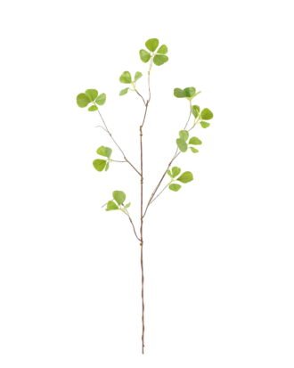 Artificial Plant 38*38*84cm  Ficophyllum  single stem GS-26224025 2024SEP YeahFlower is one of Chinese leading OEM manufacturers and exporters , supplying the silk flowers, wholesale artificial trees