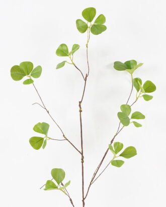 Artificial Plant 38*38*84cm  Ficophyllum  single stem GS-26224025 2024SEP YeahFlower is one of Chinese leading OEM manufacturers and exporters , supplying the silk flowers, wholesale artificial trees