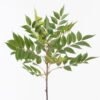Artificial Plant Leaf single stem 129 lvs GS-29824040_2 Artificial Plant 35*35*80cm Leaf single stem /129 lvs GS-29824040 2024SEP YeahFlower is one of Chinese leading OEM manufacturers and exporters , supplying the silk flowers, wholesale artificial trees