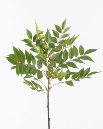 Artificial Plant 35*35*80cm Leaf  single stem  /129 lvs GS-29824040 2024SEP YeahFlower is one of Chinese leading OEM manufacturers and exporters , supplying the silk flowers, wholesale artificial trees