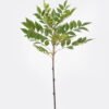 Artificial Plant Leaf single stem 129 lvs GS-29824040_3 Artificial Plant 35*35*80cm Leaf single stem /129 lvs GS-29824040 2024SEP YeahFlower is one of Chinese leading OEM manufacturers and exporters , supplying the silk flowers, wholesale artificial trees