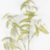 Artificial Plant 46*46*105cm Leaf single stem GS-26224018 2024SEP YeahFlower is one of Chinese leading OEM manufacturers and exporters , supplying the silk flowers, wholesale artificial trees