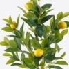 Artificial Plant 40*40*90cm Lemon  single stem GS-69424014 2024SEP YeahFlower is one of Chinese leading OEM manufacturers and exporters , supplying the silk flowers, wholesale artificial trees