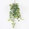 Artificial Plant ivy leaves 13 hanging GS-07324002_1 Artificial Plant 25*25*74cm ivy leaves *13 hanging GS-07324002 2024Aug YeahFlower is one of Chinese leading OEM manufacturers and exporters , supplying the silk flowers, wholesale artificial trees