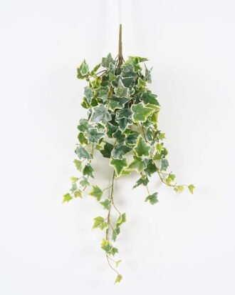 Artificial Plant 25*25*74cm ivy leaves *13 hanging GS-07324002 2024Aug YeahFlower is one of Chinese leading OEM manufacturers and exporters , supplying the silk flowers, wholesale artificial trees Artificial Plant 25*25*74cm ivy leaves *13 hanging GS-07324002 2024Aug YeahFlower is one of Chinese leading OEM manufacturers and exporters , supplying the silk flowers, wholesale artificial trees