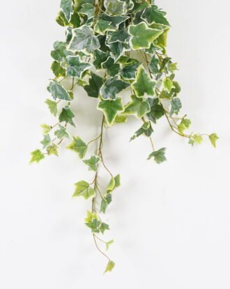 Artificial Plant 25*25*74cm ivy leaves *13 hanging GS-07324002 2024Aug YeahFlower is one of Chinese leading OEM manufacturers and exporters , supplying the silk flowers, wholesale artificial trees Artificial Plant 25*25*74cm ivy leaves *13 hanging GS-07324002 2024Aug YeahFlower is one of Chinese leading OEM manufacturers and exporters , supplying the silk flowers, wholesale artificial trees