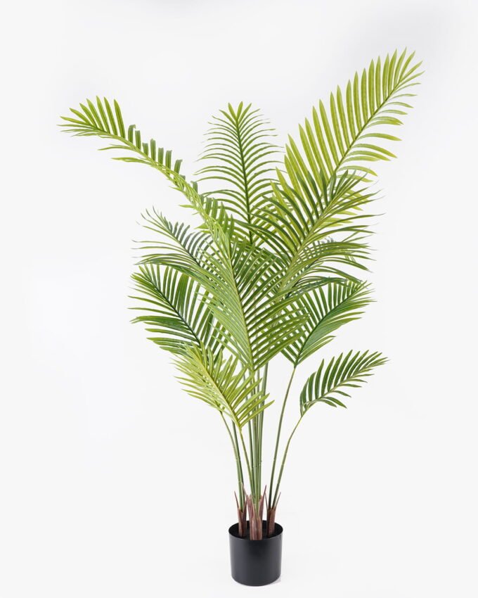 Artificial Tree 80*80*160cm Actinodendron *4 in PP pot/12 lvs GS-29824046KD Tree&Plant 3,000+ sqm showroom with thousands of artificial flowers, plants & trees ready for global sourcing.