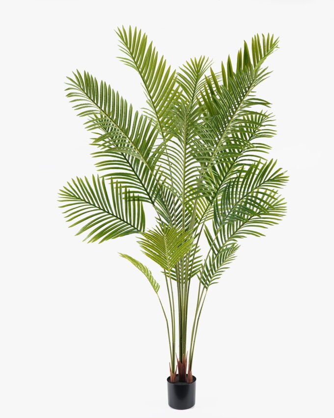 Artificial Tree Actinodendron 4 in PP pot 18 lvs GS-29824048KD_8 Artificial Tree 100*100*210cm Actinodendron *4 in PP pot/18 lvs GS-29824048KD 2024SEP YeahFlower is one of Chinese leading OEM manufacturers and exporters , supplying the silk flowers, wholesale artificial trees