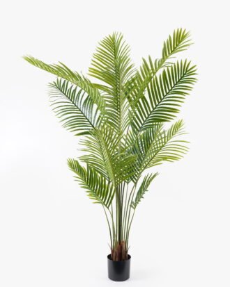 Artificial Tree 95*95*180cm Actinodendron *5 in PP pot/14 lvs GS-29824047KD 2024SEP YeahFlower is one of Chinese leading OEM manufacturers and exporters , supplying the silk flowers, wholesale artificial trees