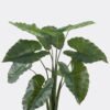 Artificial Tree Alocasia macrorrhiza in pp pot 10 lvs GS-30424049_7 Artificial Tree 67*67*106cm Alocasia macrorrhiza in pp pot/*10 lvs GS-30424049 2024SEP YeahFlower is one of Chinese leading OEM manufacturers and exporters , supplying the silk flowers, wholesale artificial trees