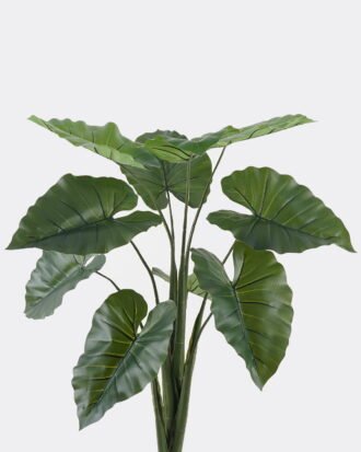Artificial Tree 67*67*106cm   Alocasia macrorrhiza in pp pot/*10 lvs GS-30424049 2024SEP YeahFlower is one of Chinese leading OEM manufacturers and exporters , supplying the silk flowers, wholesale artificial trees