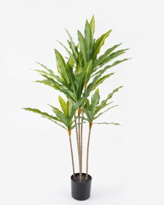 Artificial Tree 55*55*130cm Braziletto *5  in pp pot/66 lvs GS-54324009