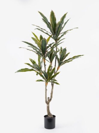 Artificial Tree 95*95*180cm Actinodendron *5 in PP pot/14 lvs GS-29824047KD 2024SEP YeahFlower is one of Chinese leading OEM manufacturers and exporters , supplying the silk flowers, wholesale artificial trees