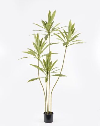 Artificial Tree 70*60*150cm Cordyline fruticosa *4 in PP pot GS-67724005 2024Aug YeahFlower is one of Chinese leading OEM manufacturers and exporters , supplying the silk flowers, wholesale artificial trees