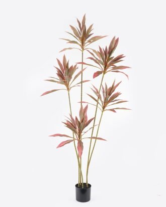 Artificial Tree 78*78*180cm Cordyline fruticosa *5 in PP pot GS-67723015