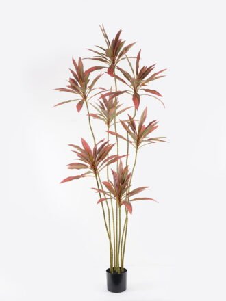 Artificial Flower 12*77CM Aragoana GS-3910038-P1 2024Aug YeahFlower is one of Chinese leading OEM manufacturers and exporters , supplying the silk flowers, wholesale artificial trees