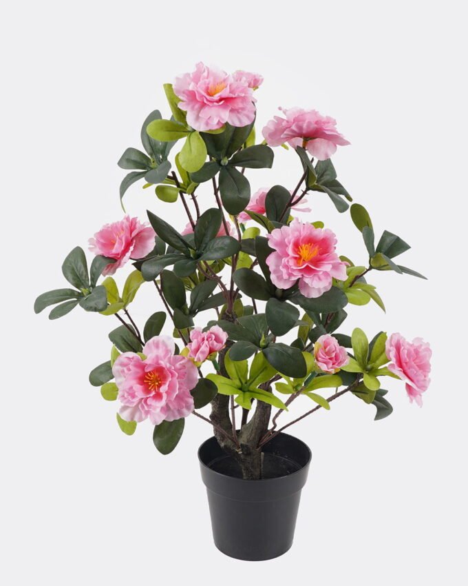 Artificial Tree 27*27*42cm  Cuckoo tree GS-30424050 2024SEP YeahFlower is one of Chinese leading OEM manufacturers and exporters , supplying the silk flowers, wholesale artificial trees