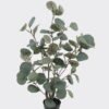 Artificial Tree 30*30*60cm  Eucalyptus tree in pp pot GS-30424051 2024SEP YeahFlower is one of Chinese leading OEM manufacturers and exporters , supplying the silk flowers, wholesale artificial trees