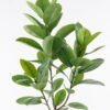 Artificial Tree Ficus elastica in PP pot 46 Lvs GS-67724001KD_5 Artificial Tree 60*60*130cm Ficus elastica in PP pot/46 Lvs GS-67724001KD 2024Aug YeahFlower is one of Chinese leading OEM manufacturers and exporters , supplying the silk flowers, wholesale artificial trees