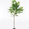 Artificial Tree 80*80*160cm Ficus elastica  in PP pot/63 Lvs GS-67724002KD 2024Aug YeahFlower is one of Chinese leading OEM manufacturers and exporters , supplying the silk flowers, wholesale artificial trees
