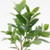 Artificial Tree 80*80*160cm Ficus elastica  in PP pot/63 Lvs GS-67724002KD 2024Aug YeahFlower is one of Chinese leading OEM manufacturers and exporters , supplying the silk flowers, wholesale artificial trees