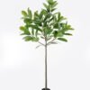 Artificial Tree Ficus elastica in PP pot 95 Lvs GS-67724003KD_1 Artificial Tree 90*90*190cm Ficus elastica in PP pot/95 Lvs GS-67724003KD 2024Aug YeahFlower is one of Chinese leading OEM manufacturers and exporters , supplying the silk flowers, wholesale artificial trees