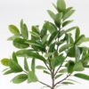 Artificial Tree Ficus elastica in PP pot 95 Lvs GS-67724003KD_9 Artificial Tree 90*90*190cm Ficus elastica in PP pot/95 Lvs GS-67724003KD 2024Aug YeahFlower is one of Chinese leading OEM manufacturers and exporters , supplying the silk flowers, wholesale artificial trees