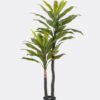 Artificial Tree Ironwood 2 in PP pot 45 lvs GS-30424054KD_1 Artificial Tree 65*65*150cm Ironwood *2 in PP pot/45 lvs GS-30424054KD 2024SEP YeahFlower is one of Chinese leading OEM manufacturers and exporters , supplying the silk flowers, wholesale artificial trees