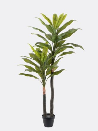 Artificial Tree 58*58*120cm Actinodendron *4 in PP pot/10 lvs GS-29824044 2024SEP YeahFlower is one of Chinese leading OEM manufacturers and exporters , supplying the silk flowers, wholesale artificial trees